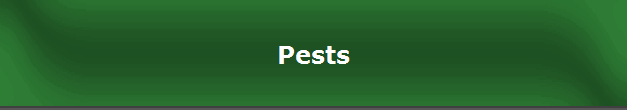 Pests