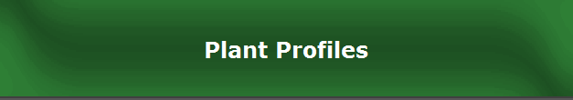 Plant Profiles