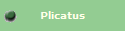 Plicatus