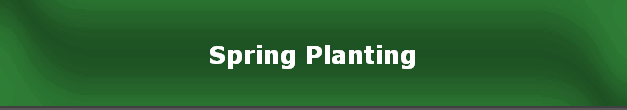 Spring Planting