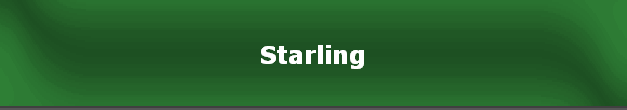 Starling