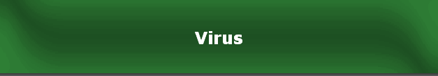 Virus