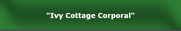 "Ivy Cottage Corporal"