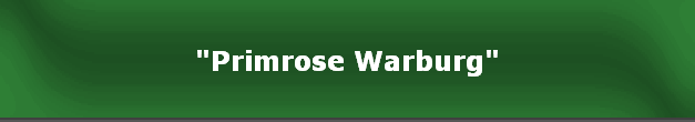 "Primrose Warburg"