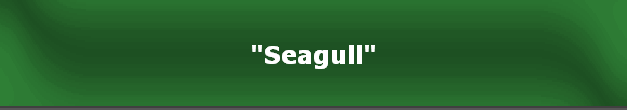 "Seagull"