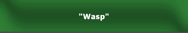 "Wasp"