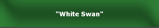 "White Swan"