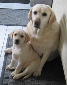 Penny+Lulu Penny+Lulu