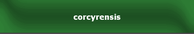 corcyrensis