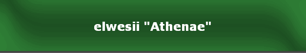elwesii "Athenae"