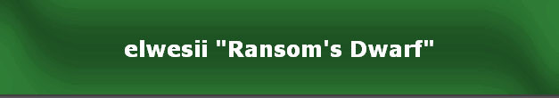 elwesii "Ransom's Dwarf"