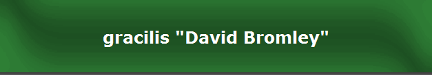 gracilis "David Bromley"