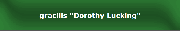 gracilis "Dorothy Lucking"