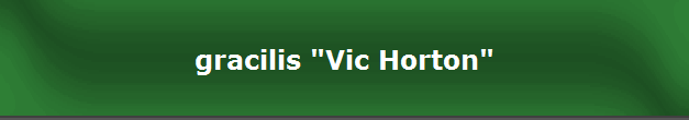 gracilis "Vic Horton"
