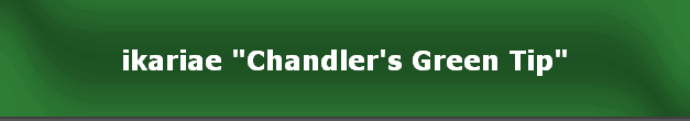 ikariae "Chandler's Green Tip"