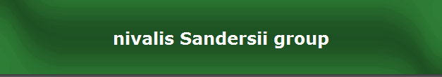 nivalis Sandersii group