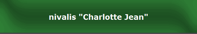 nivalis "Charlotte Jean"