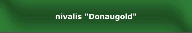 nivalis "Donaugold"