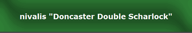 nivalis "Doncaster Double Scharlock"