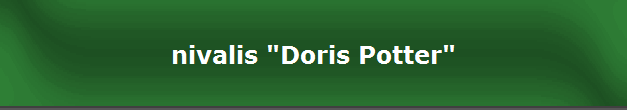 nivalis "Doris Potter"