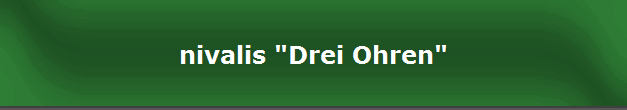 nivalis "Drei Ohren"