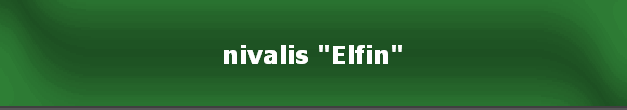 nivalis "Elfin"
