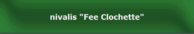 nivalis "Fee Clochette"