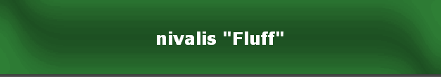 nivalis "Fluff"