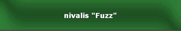 nivalis "Fuzz"