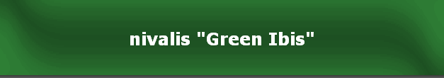 nivalis "Green Ibis"