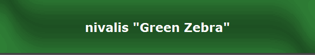 nivalis "Green Zebra"