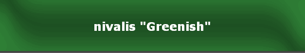 nivalis "Greenish"