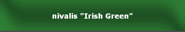 nivalis "Irish Green"