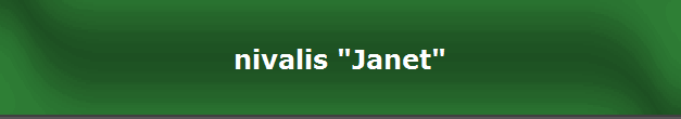 nivalis "Janet"