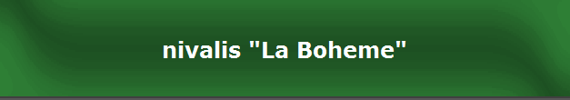nivalis "La Boheme"