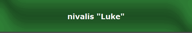 nivalis "Luke"