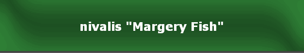 nivalis "Margery Fish"