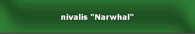 nivalis "Narwhal"