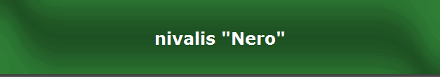 nivalis "Nero"
