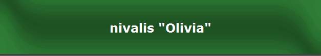 nivalis "Olivia"