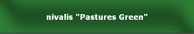 nivalis "Pastures Green"