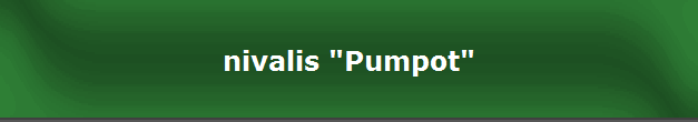 nivalis "Pumpot"