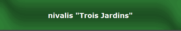 nivalis "Trois Jardins"