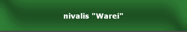 nivalis "Warei"