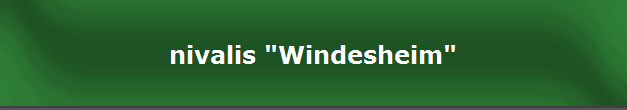 nivalis "Windesheim"