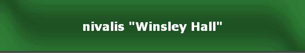 nivalis "Winsley Hall"