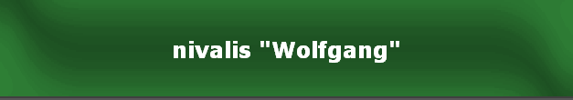 nivalis "Wolfgang"