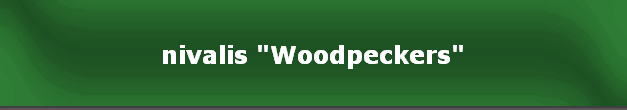nivalis "Woodpeckers"