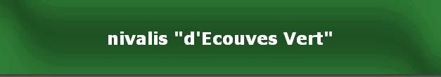 nivalis "d'Ecouves Vert"