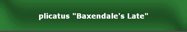 plicatus "Baxendale's Late"